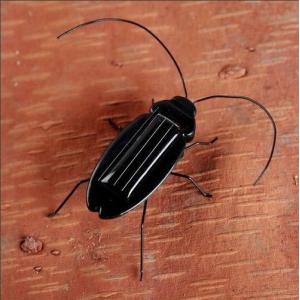 China Insecto/ Mini cucaracha juguete solar / mini cucaracha solar / cucaracha wholesale