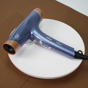 Foldable DC Motor Hair Dryer Professional Lightweight Customized