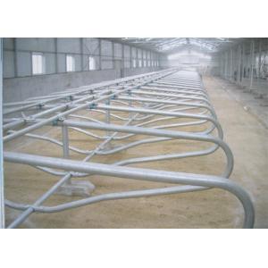 China Hot Dip Galvanized Cattle Stall With Bovine Jugular Track , Clamp , Bolt supplier