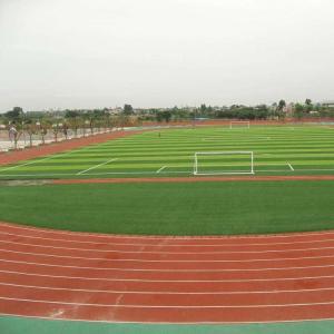 Outdoor Fake Grass Football Field  For 11 People Standard Game Stadium