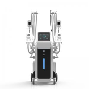China Four different sizes handpieces optional cool tech fat freezing slimming machine for cellulite removal supplier