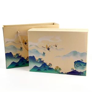 China Custom Compartment Tea Box Packaging Luxury Gift Bag Box With Custom Paper Bag For Tea Cup Packing on sale