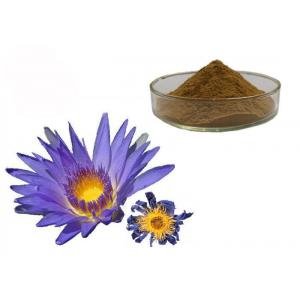 China Nymphaea Caerulea Flower Powder Blue Lotus Organic Herbal Extracts supplier