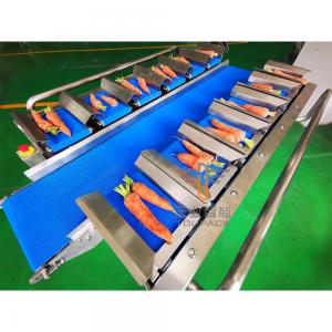 China 30WPM Stainless Steel 304 Conveyor Belt Weighing System 12 Belt supplier