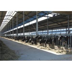 China Small Scale Milk Processing Equipment With Milk Receiving UHT And Filling System supplier
