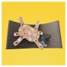 Design Paper Cat Scratcher Pinwheel Cat Scratching Board Combinable Hot Sale Customized Color Multi Size Custom