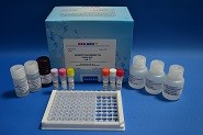 China Kit de ensayo de residuos veterinarios de estreptomicina ELISA de alta reproductibilidad wholesale