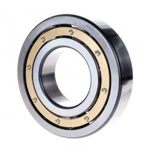 Stainless Steel Deep Groove Ball Bearings 6900 Single Row Agricultural Bearing
