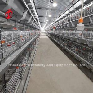 China Manual Cleaning Automatic Chick Brooder Cage H Type Metal For Chickens Adela supplier