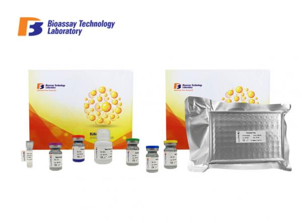 Customized Mouse LR Ob-R Lepr ELISA Test Kit High Precision and Specificity
