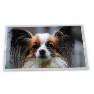 China Écran tactile LCD 40 broches 7 pouces 800*480 LMS700KF07-004 pour lecteur DVD portable, affichage automobile et cadre photo numérique supplier