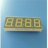 Ultra white common anode 4 digit 0.56