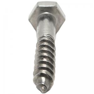DIN571 Galvanized Stainless Steel SS304 SS316 Hex Head Wood Screw Lag Bolt Coach Screw