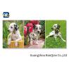 China Lovely 3d Animal Picture With Black Frame , Lenticular 3d Stereograph Printing wholesale