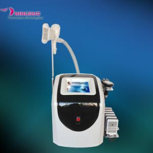 China Portable RF Vacuum Cavitation Cryolipolysis Lipo Laser Equipment supplier