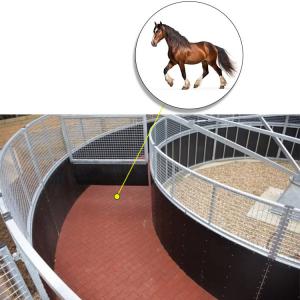 China Dog Shaped Rubber Horse Walker Mats For 36ft Diameter X 6ft 6in Walkway supplier
