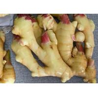 China 300g Air Dried Ginger yellow on sale