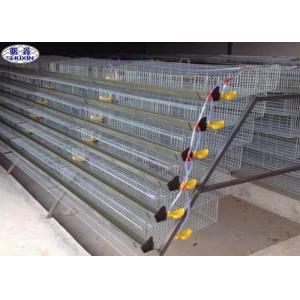 China Galvanized Metal Quail Laying Cage , 6 Layers Wire Quail Laying Cages supplier