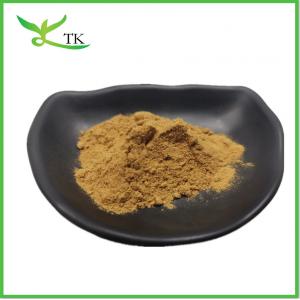 Fenugreek Extract Food Grade Herbal Supplements Pure Fenugreek Extract Powder