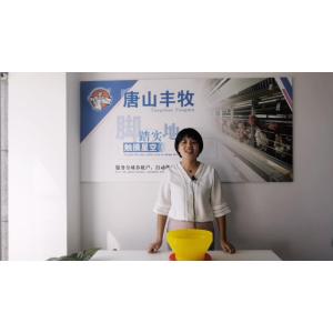 China Plastic Poultry Controlled Chicken Feeder Equipment For Broiler With 16 Grids Pan Feeder wholesale