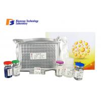 China Customized Canine IL 12 ELISA Kit / 96 Well Plate Elisa Reagent Kit CE Approval on sale