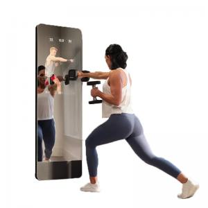 Wall Mounted Smart Fitness Mirror 49 Inch 500cd/M2 For Exercise