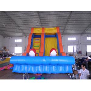 China Inflatable Water Slides, Giant Beach Slide with Wooden Stairs, Hippo Slide supplier