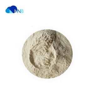 Pharmaceutical Intermediates Xanthan Gum Powder CAS 11138-66-2