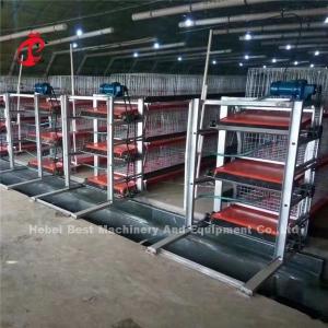Automatic 4 Tiers H type Broiler Chicken Cage For Meat Chicken Farm Ada