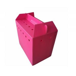 China New Style polypropylene corrugated plastic danpla sheet carton box boxes pp hollow corflute packaging supplier