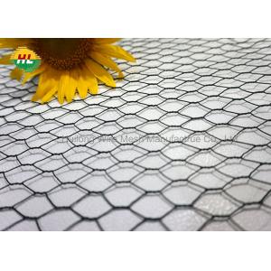 HUILONG 2" Hexagonal Galvanized Poultry Netting For Family Craft Projects