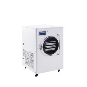 Electrolysis High Output Freeze Dryer Machine For Fruits For Sale
