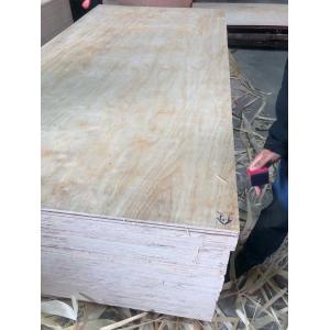 Uv Pine Veneer Laminated Plywood, Cabinet Grade Pine Plywood, UV Coated Pine Face Veneer Panel for Furniture
