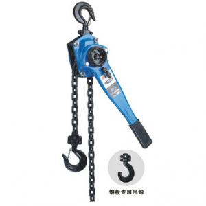 China Transmission Line Tool Rated Load Lifting Capacity 9Ton Ratchet Lifting Chain Lever Hoist Pulley supplier