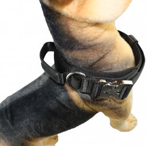 40 Inch 32 Inch Cute Dog Collars 30cm 75cm X Xs Xl Personalized Dog Collar Luxury