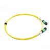 China MTP Trunk Cable 12 Fibre 9 / 125μm MTP to MTP Female OS2 LSZH Type B SM Yellow Patch Cable wholesale