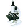 Electron Inverted Compound Light Microscope With Achromatic Objective 4X / 10X /