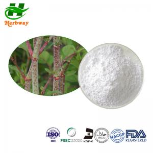 Resveratrol 98% Powder Natural Polygonum Cuspidatum Extract 501-36-0 Tran-Resveratrol