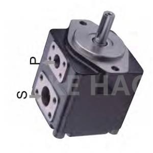 China High Pressure  Double  Vane Pump Cartridge Stainless Steel Gear Pump supplier