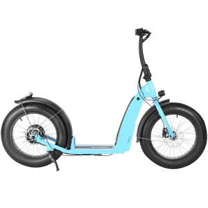 350 Watt 20 Inch Electric Scooter Adult Big Wheel Front And Rear 48v 14Ah