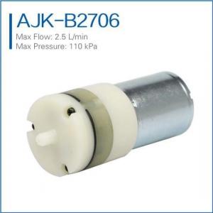 China High Pressure Micro Air Pump 6V/12V/24V DC Diaphragm supplier