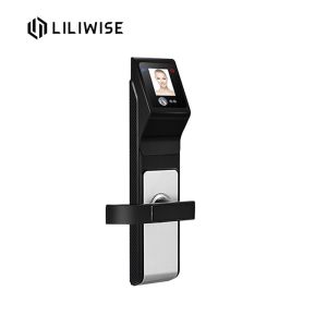 China Durable Face Recognition Door Lock High Security Touch Screen Low Energy Consumption on sale