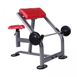 Seated  Arm Curl Exercise Machine Equipment Custom Color For Body Building