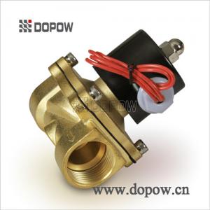 2W Series 1/8" Water Solenoid Valve 24V Automotive Electrically Operated Water Valve