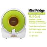 Mini Fridge, 12V Thermoelectric Portable Cooler & Warmer 4L,6-Can