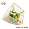 Hot sales low price Geometric plant terrarium for Garden home decoration