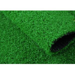Straight PE 5/32" 10mm Pile Height Home Leisure Lawn Artificial Grass