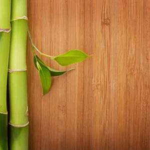 Carbonized Wood Timber Flooring Standard Bamboo Wall Panel Solid Bamboo Flooring