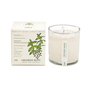 China Matte/Gloss Varnish Surface Paper Packaging Box Durable and Sturdy for Your Business Growth wholesale