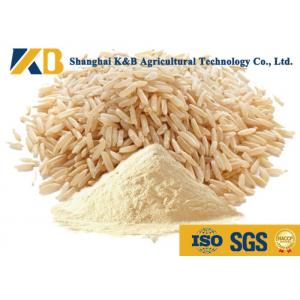 China Food Grade 80% Hydrolyzed Brown Rice Protein Nutrition Daily Fitness Use supplier